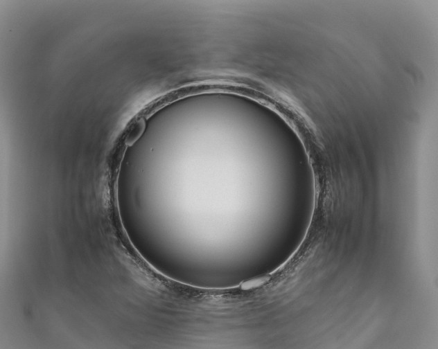 X0000111191360200907081247