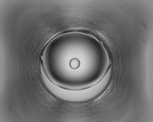 X0000111191361200907081247