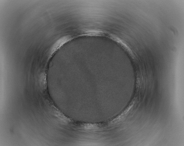 X0000111191362200907081247