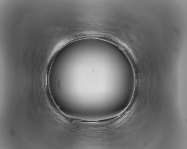 X0000111191365200907081247