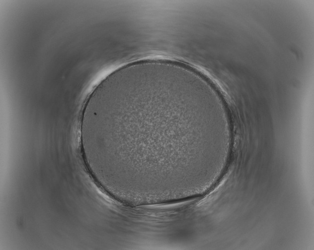 X0000111191367200907081247