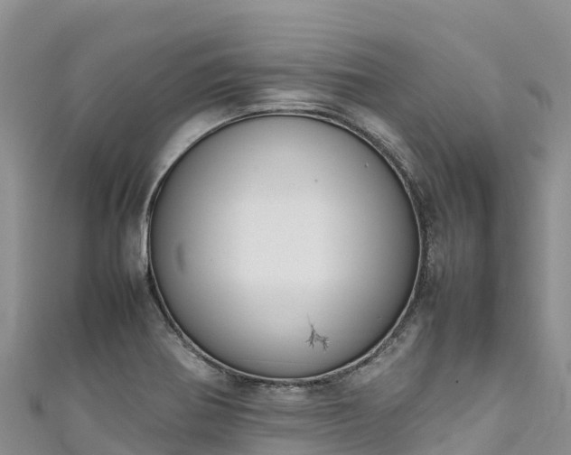 X0000111191370200907081247