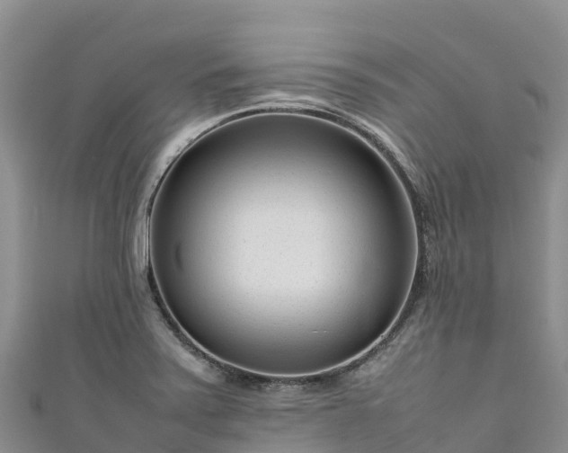 X0000111191371200907081247