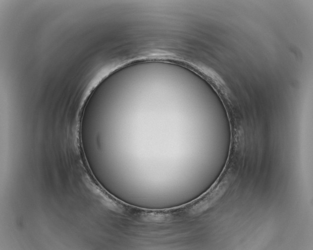 X0000111191374200907081247