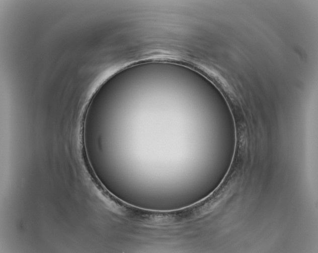 X0000111191375200907081247