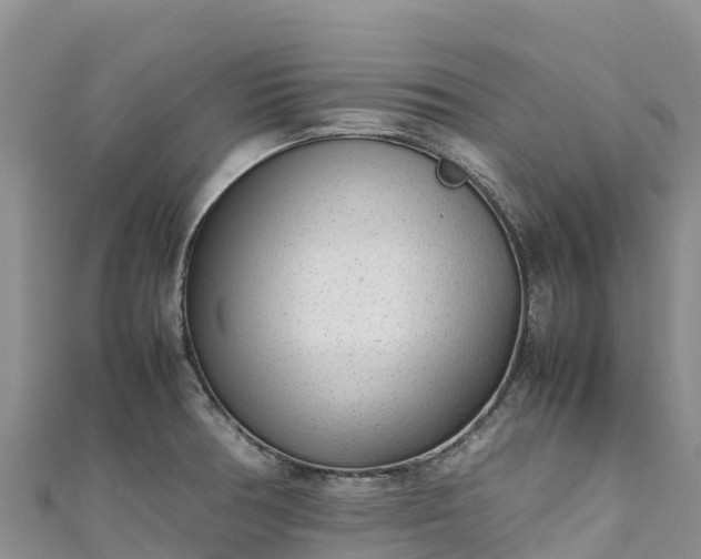 X0000111191378200907081247