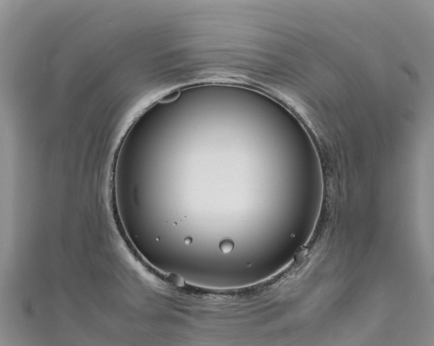 X0000111191379200907081247