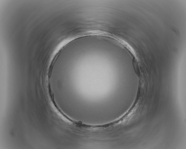 X0000111191381200907081247