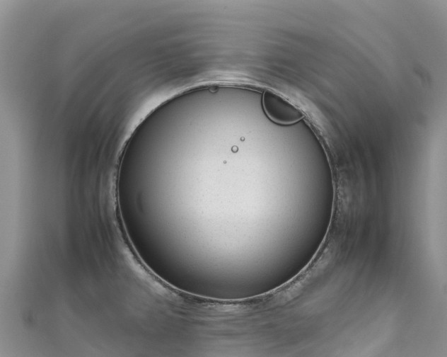 X0000111191382200907081247