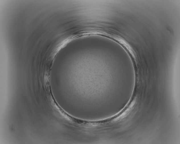 X0000111191385200907081247