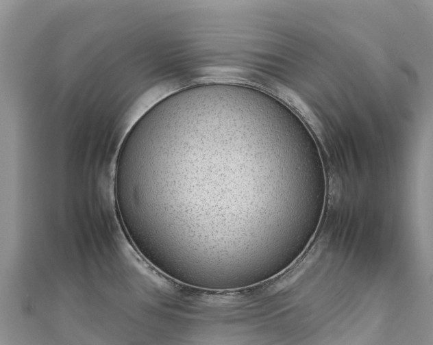 X0000111191386200907081247