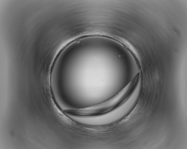 X0000111191388200907081247