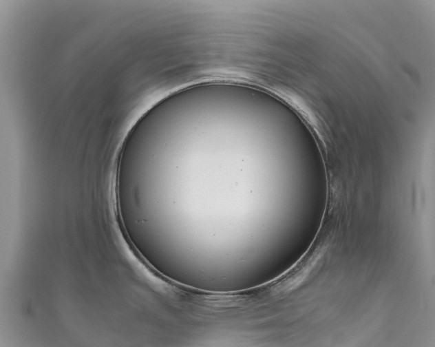 X0000111191391200907081247