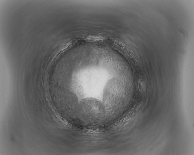 X0000111191393200907081246