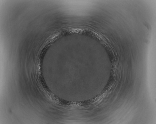 X0000111191394200907081246