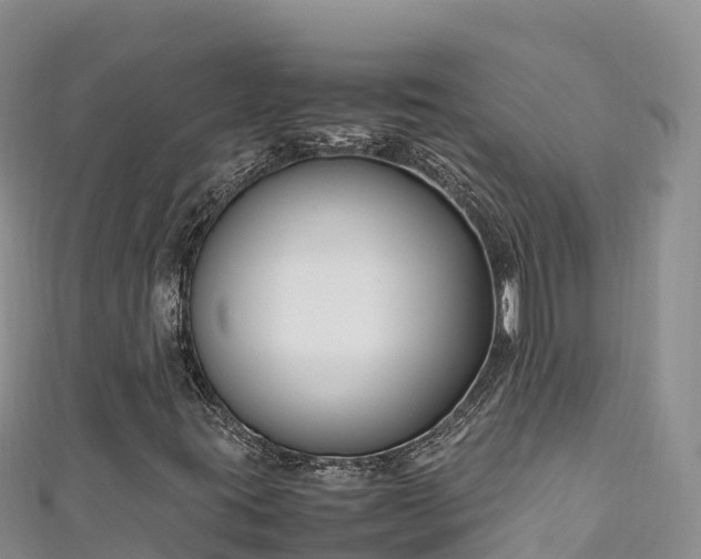 X0000111191395200907081246