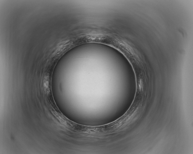 X0000111191396200907081246