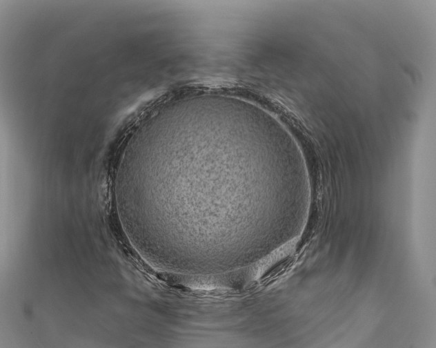 X0000111191398200907081246