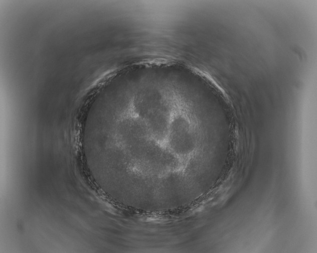 X0000111191399200907081246