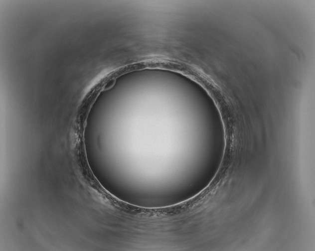 X0000111191400200907081246