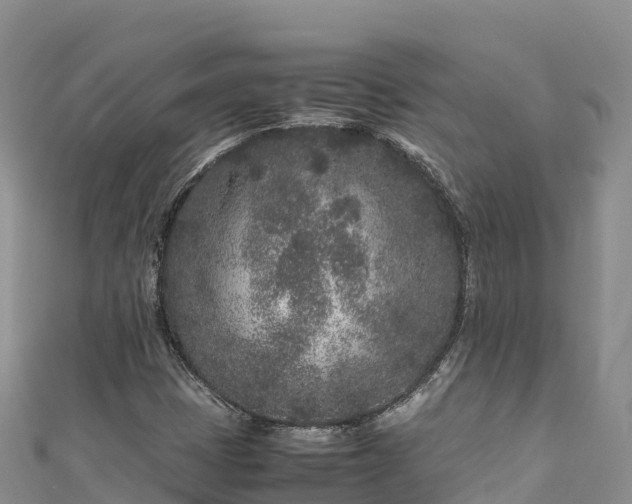 X0000111191401200907081246