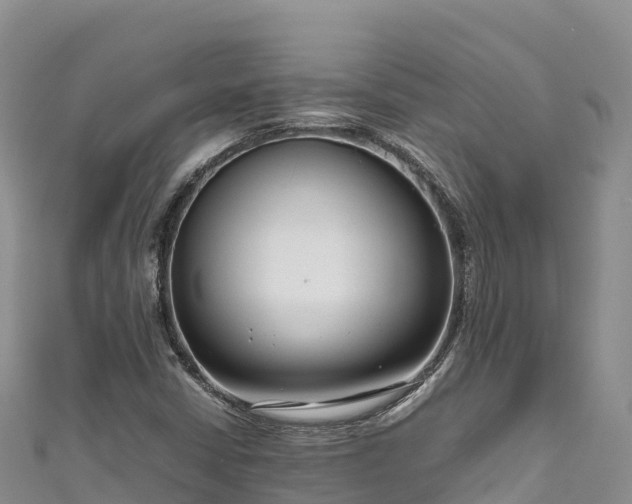 X0000111191402200907081246