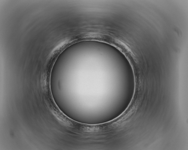 X0000111191403200907081246