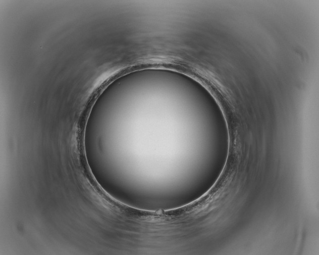 X0000111191404200907081246