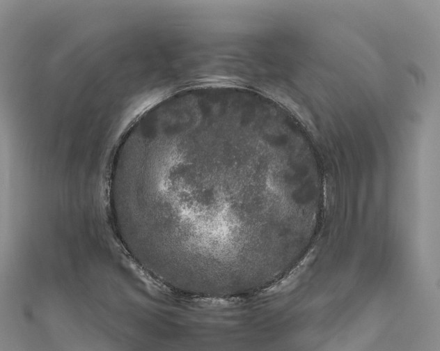 X0000111191405200907081246