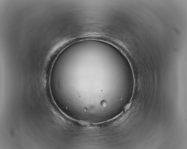 X0000111191406200907081246