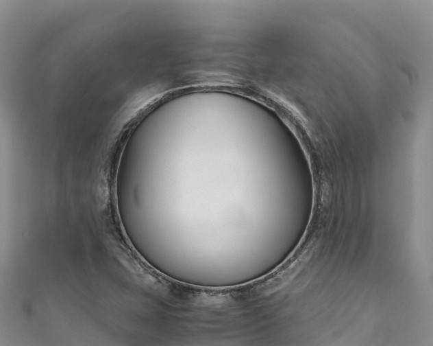 X0000111191407200907081246