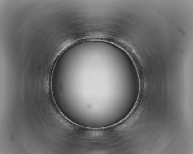 X0000111191409200907081247