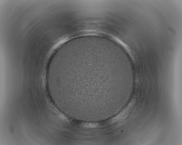 X0000111191411200907081247