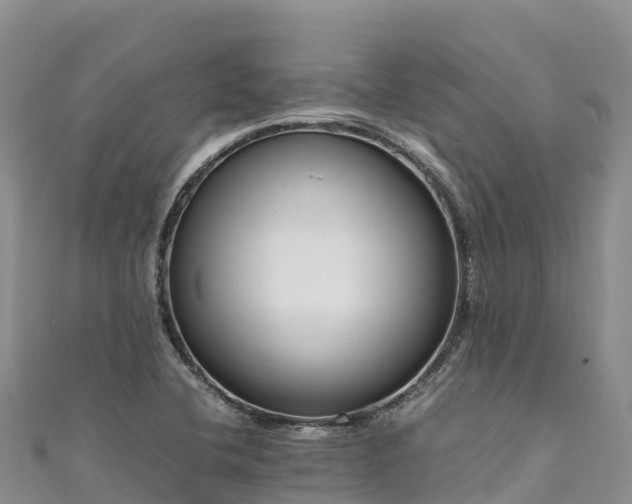 X0000111191412200907081247