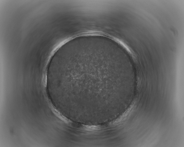 X0000111191413200907081247