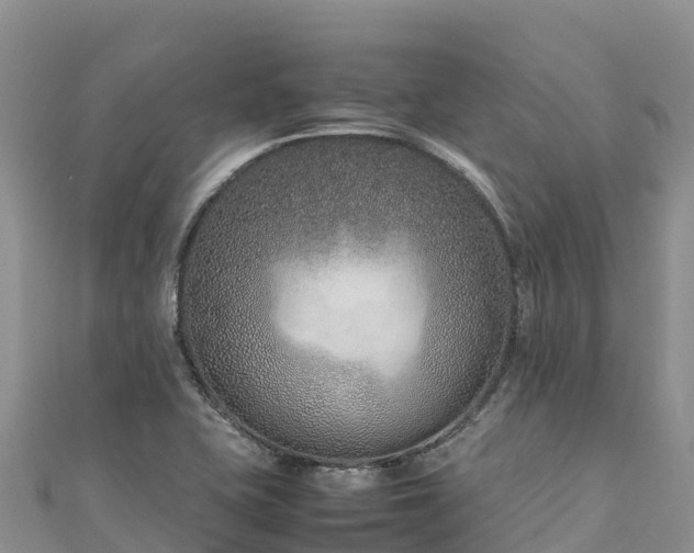 X0000111191415200907081247