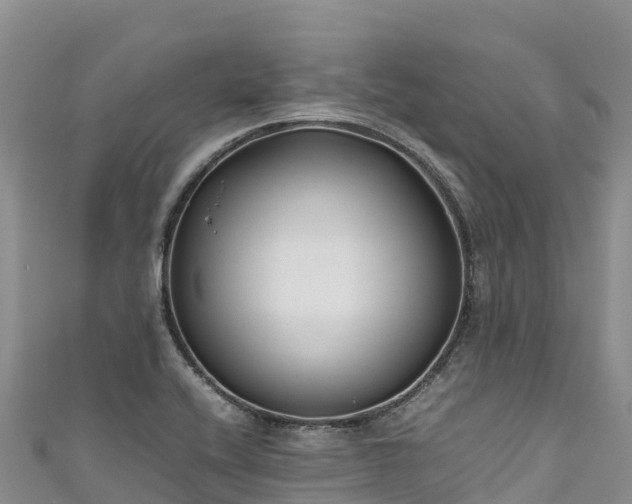 X0000111191416200907081247