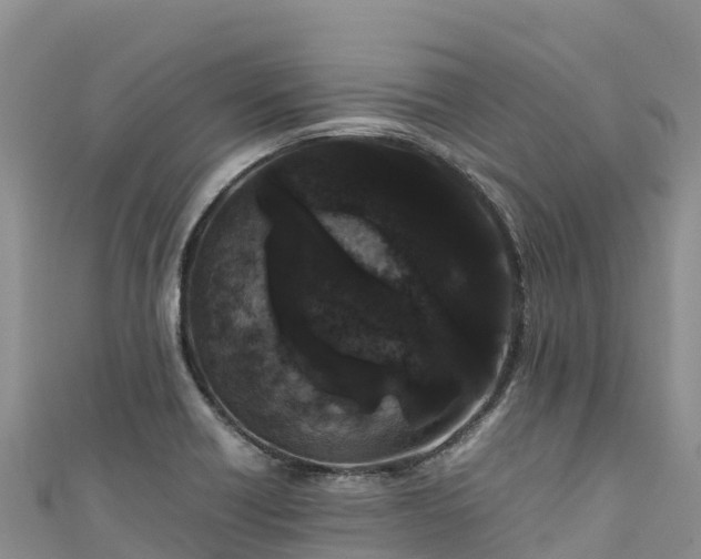 X0000111191418200907081247