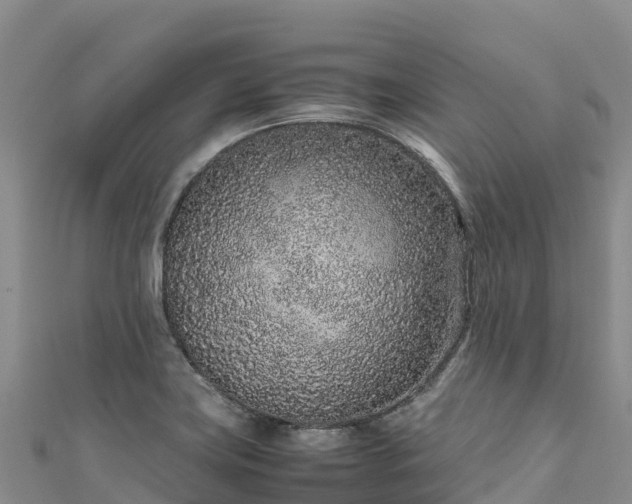 X0000111191419200907081247