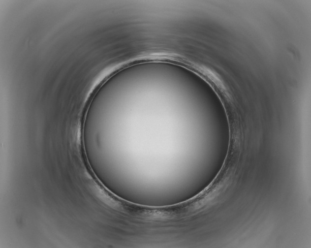 X0000111191420200907081247