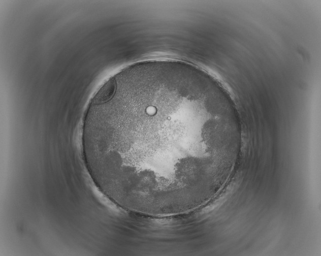 X0000111191421200907081247