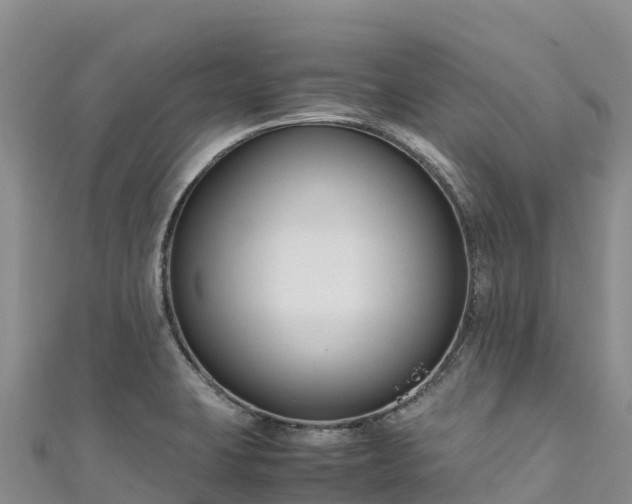 X0000111191423200907081247