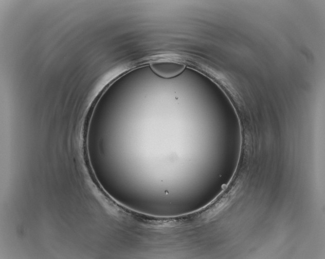 X0000111191426200907081247