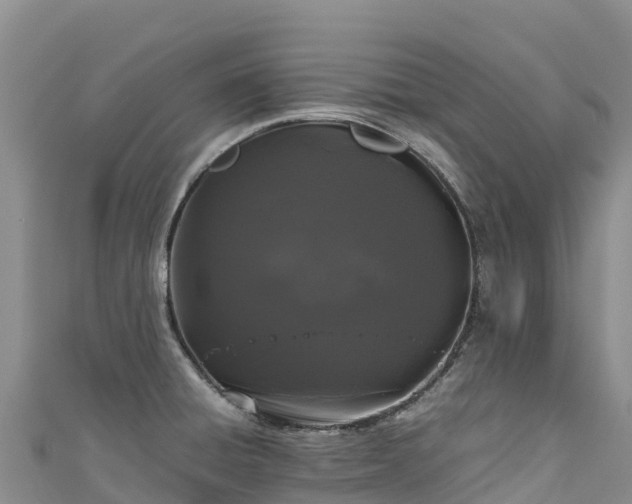 X0000111191428200907081247