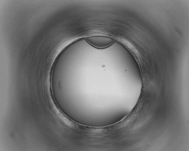 X0000111191431200907081247