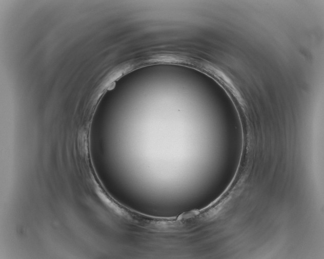 X0000111191433200907081247