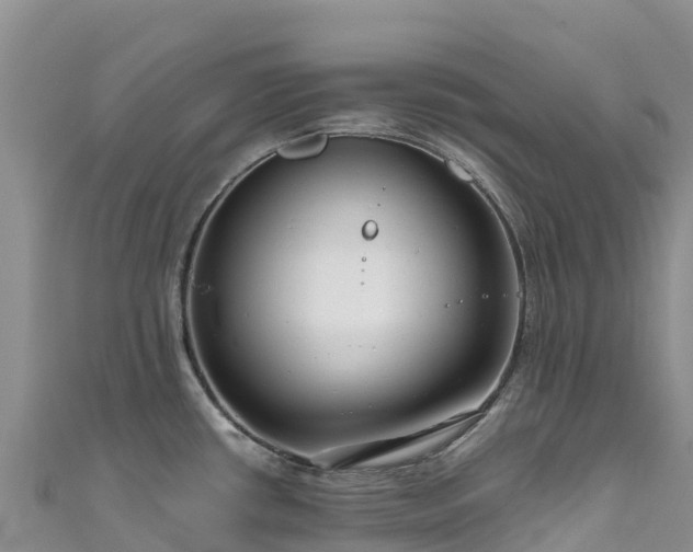 X0000111191434200907081247