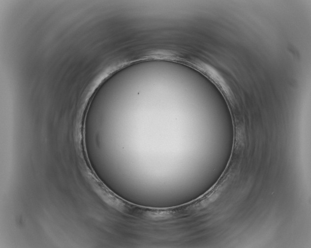 X0000111191435200907081247