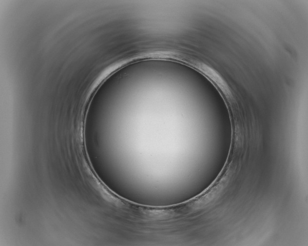 X0000111191436200907081247