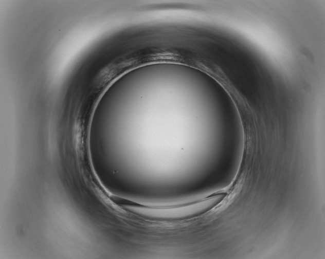 X0000111191438200907081247